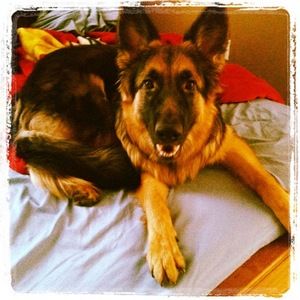 Meet your Posher, Viki